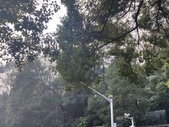 -咸宁万豪温泉谷度假区