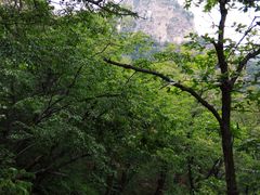 -北京上方山国家森林公园