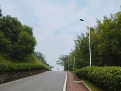 -火炉山森林公园