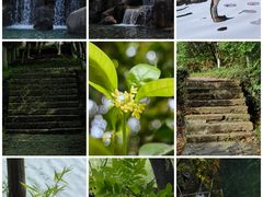 -白马涧龙池景区
