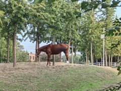 -酷鱼垂钓CLUB(朝阳区博大路店 )