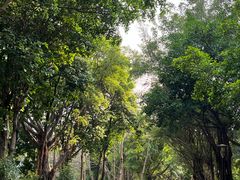 -深圳国际园林花卉博览园