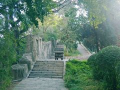 -高尔山公园