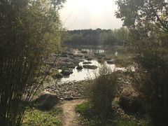 -新江湾城公园