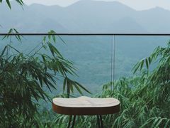 -南山植物园