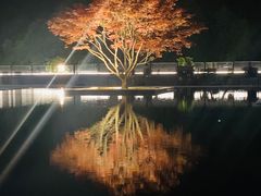 -鲁镇