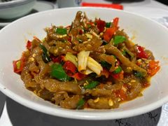 鸭掌筋-壹盏灯(惠农店)