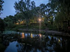 -长广溪湿地公园