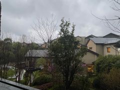 -浙江安吉JW万豪酒店·万豪中餐厅