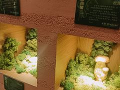 -雲說·花(西宸天街店)
