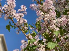 -远洋未来广场(育慧北路店)