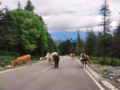 -硗碛藏寨·神木垒景区