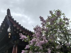 -西安市广仁寺