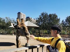 -大连森林动物园