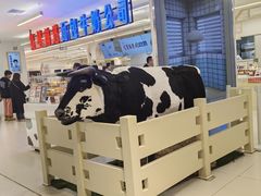 -红星前进面包牛奶公司(君太店)