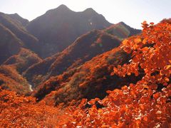 -水峪民俗村