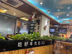 -313羊庄·羊肉火锅烧烤(李村店)
