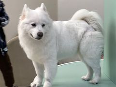 -怪兽屋·羊驼·猫咖·狗咖(俊华广场店)