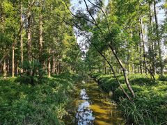 -黄海国家森林公园