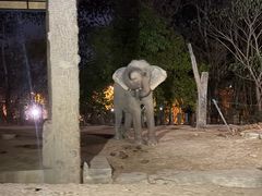 -清迈夜间动物园