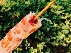 -和禄德冰糖葫芦