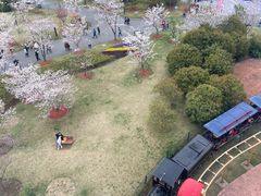-自然谷恐龙园