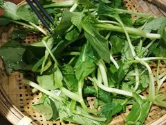 现烫鸡毛菜-小徽舟臭鳜鱼(雅清街店)