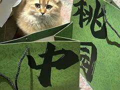 -Candy plus vintage桃园中古