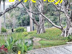 -云溪植物园