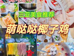 -亚龙湾热带天堂森林公园
