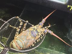 -广东名门
