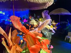 -杭州开元森泊度假乐园