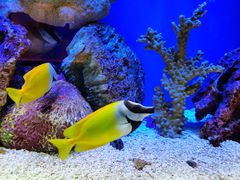 -上海海洋水族馆