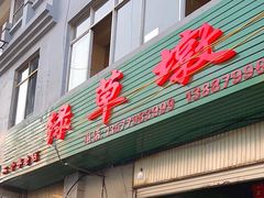 -绿草墩