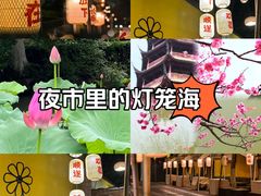 -红梅公园