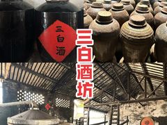-乌镇东栅景区