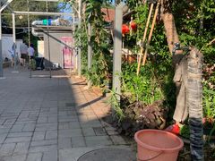 -姥家大锅台水库渔家
