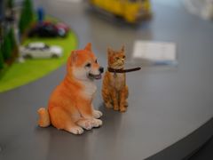 -星光摄影器材城