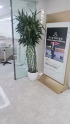 -悟空祛痘·诺奖技术专业店