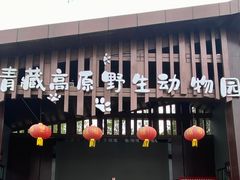 -青藏高原野生动物园
