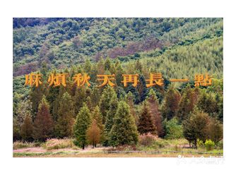 江浙沪周末去哪度假？来看看莫干山