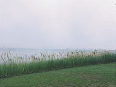 -星巴克(成都科学城店)