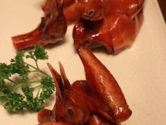 -觅唐MITONG(鸟巢店)