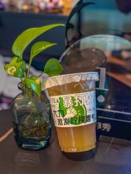 -玛莲朵·海菲秀冰珀科