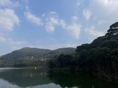 -水濂山森林公园