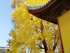 -上海青龙寺