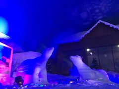 -世界之窗阿尔卑斯冰雪世界