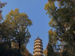 -灵谷景区