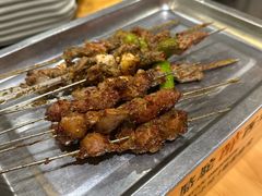 -福苗小骆驼烧烤(莲湖路店)