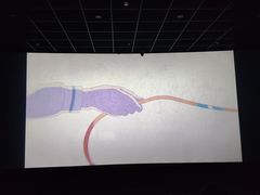 -中影大导演巨幕影城(深圳西乡店)